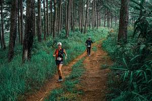 BIB: 
                            <button type="button" onclick="openModal(25655287)" class="btn btn-primary btn-sm float-right btn-popup" data-toggle="modal" data-target=".modal-high-quality">
                        <i class="fas fa-shopping-cart"></i> Add to Cart
                    </button>
                                            <button type="button" onclick="isThisMe(25655287, true)" class="btn btn-success btn-sm float-right btn-popup btn-isme hidden" data-toggle="tooltip" data-placement="bottom" title="นี่คือรูปของคุณใช่ไหม คลิกที่นี่เพื่อเอาเข้าอัลบั้ม">
                        <i class="fas fa-plus"></i> Add to album
                    </button>
                    <button type="button" onclick="isThisMe(25655287, false)" class="btn btn-warning btn-sm float-right btn-popup btn-isnotme hidden">
                        <i class="fas fa-ban"></i> Remove from album
                    </button>